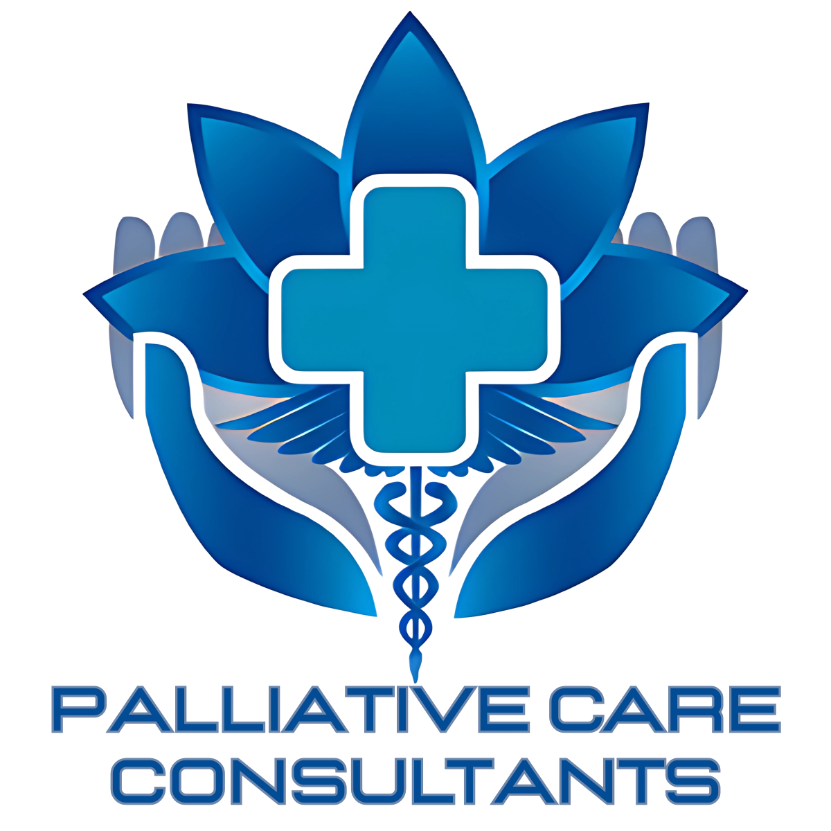 Palliative Care Consultants