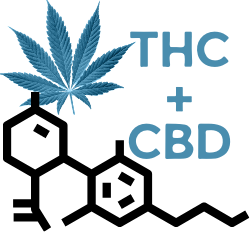 CBD + THC Ratio
